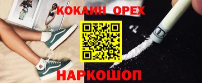 крисы Краснодар