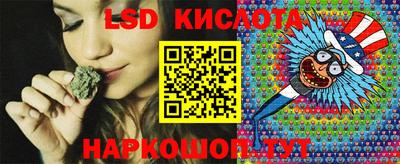 крисы Краснодар