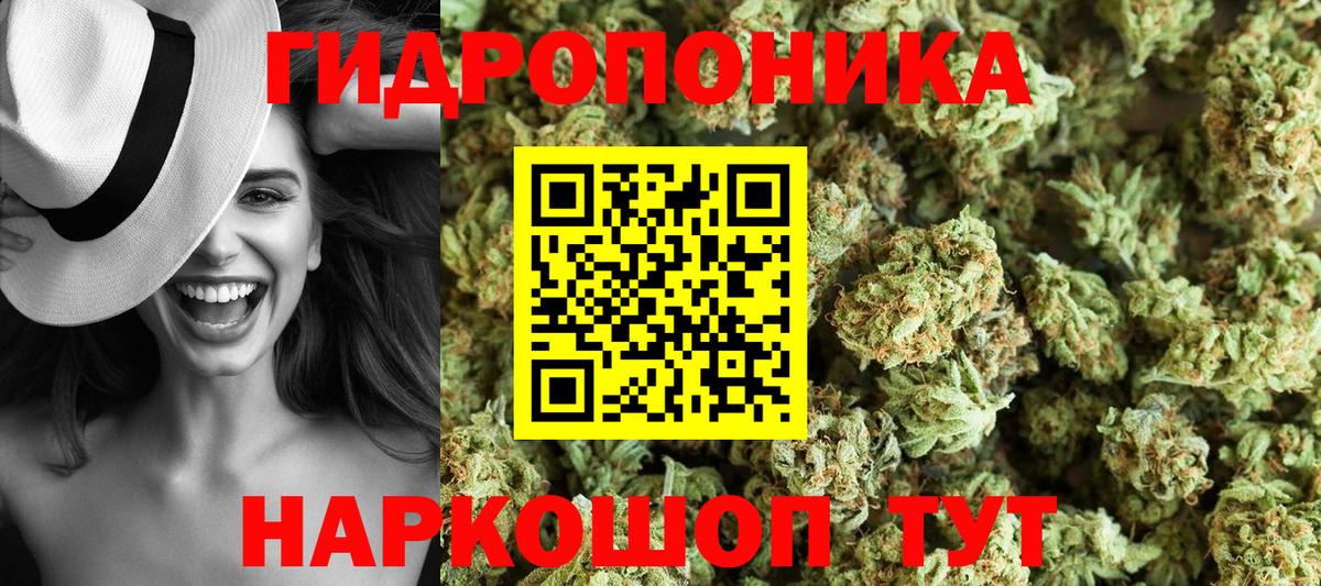 Конопля сатива  Вход с VPN  Шишки марихуана планчик  Каннабис THC 21%  Знаменск 
